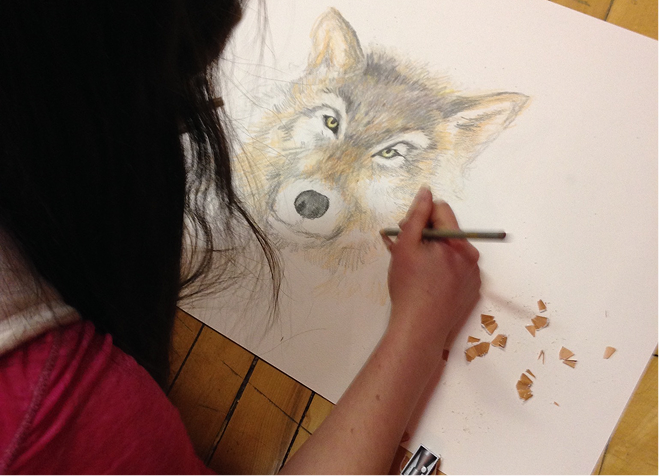 Person drawing a wolf.