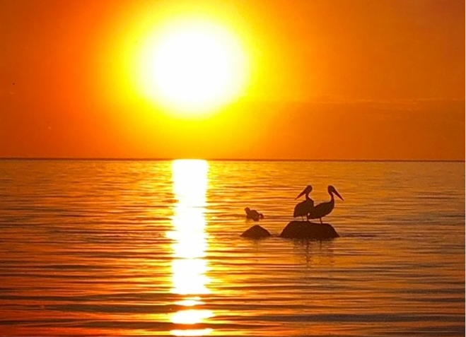 Two pelicans on a rock in a lake at sunset.