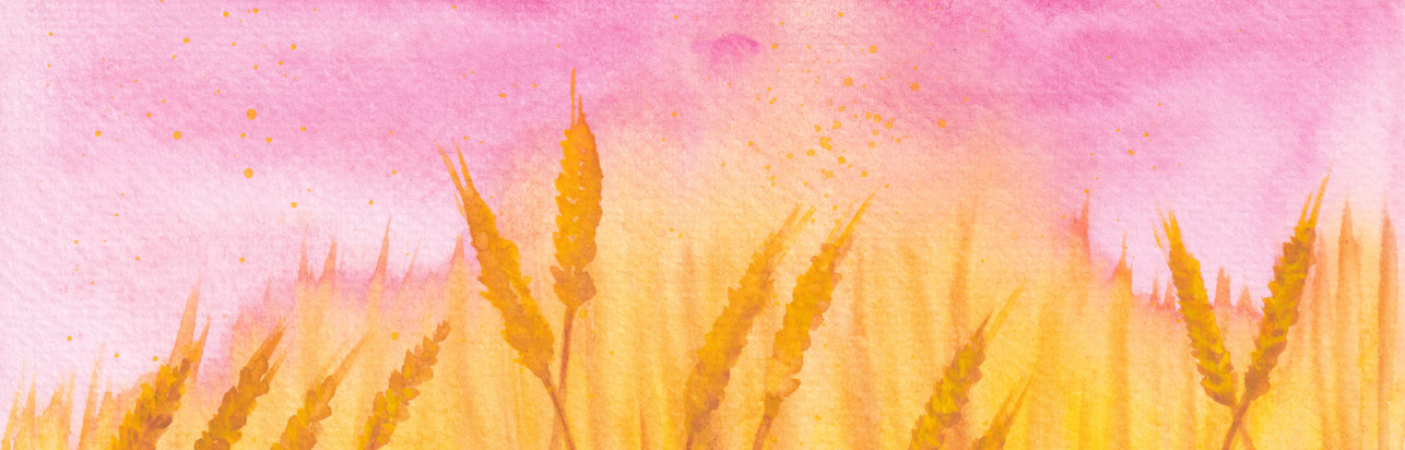 Watercolor painting of wheat.