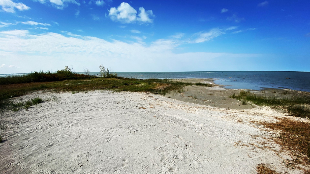 Shoreline along lake.