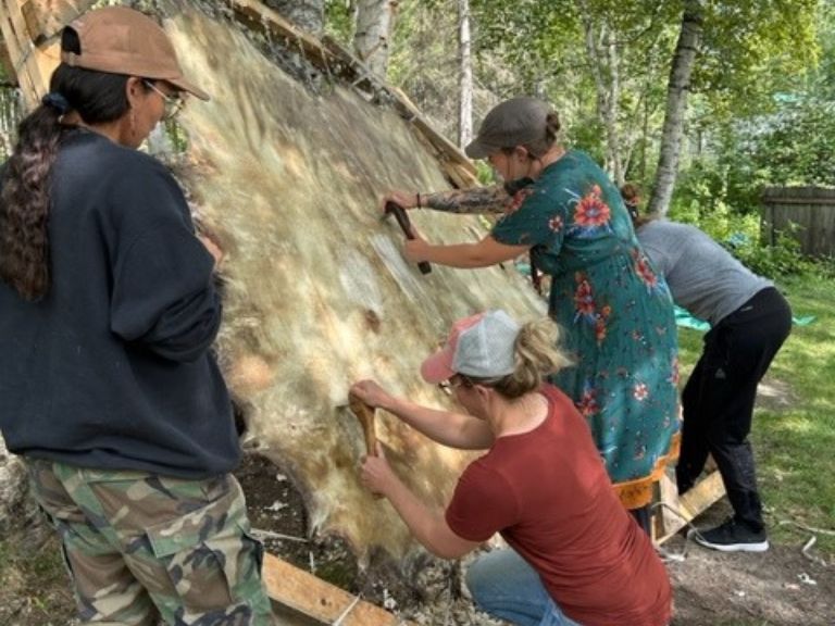 Group of people working on stretching a hide.