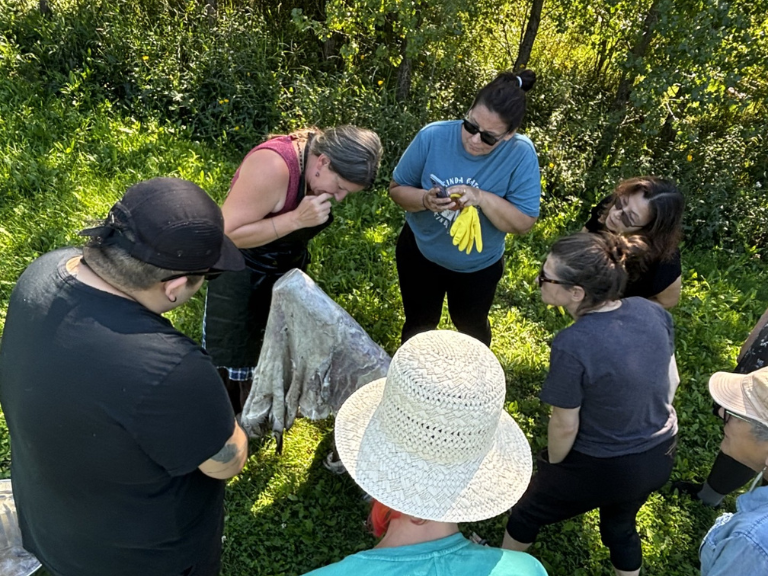 Group of people standing around hide.