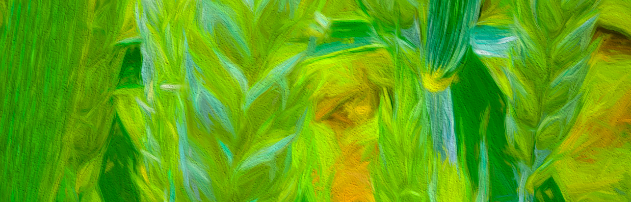 Close up of painting of wheat.
