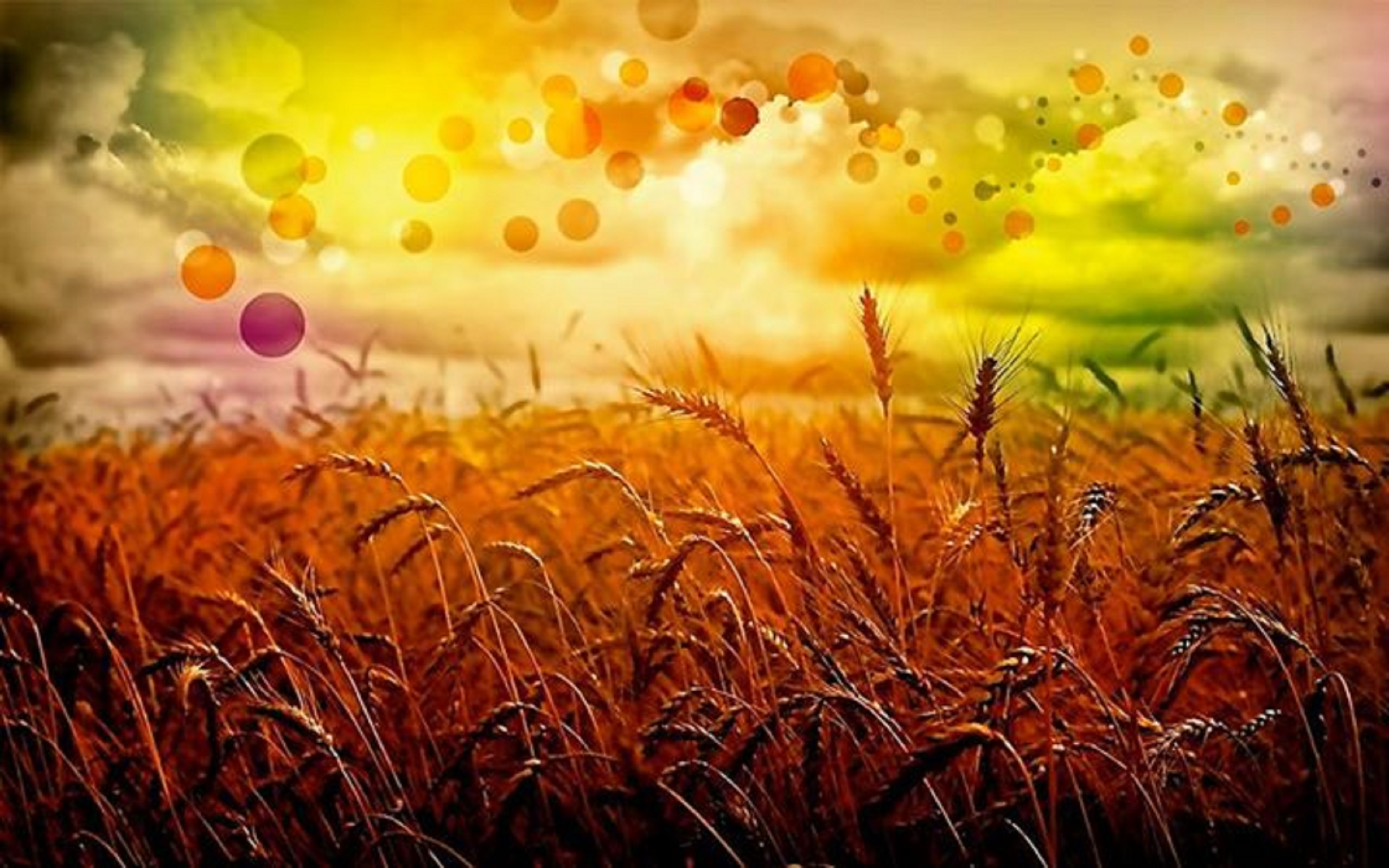 Abstract painting of wheat with colourful sky